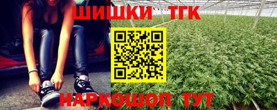спиды Дубна
