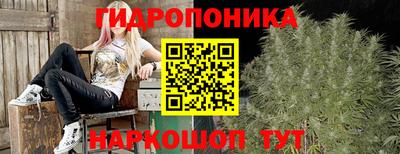 сатива Донецк