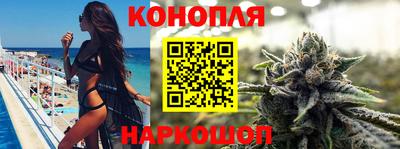 сатива Донецк